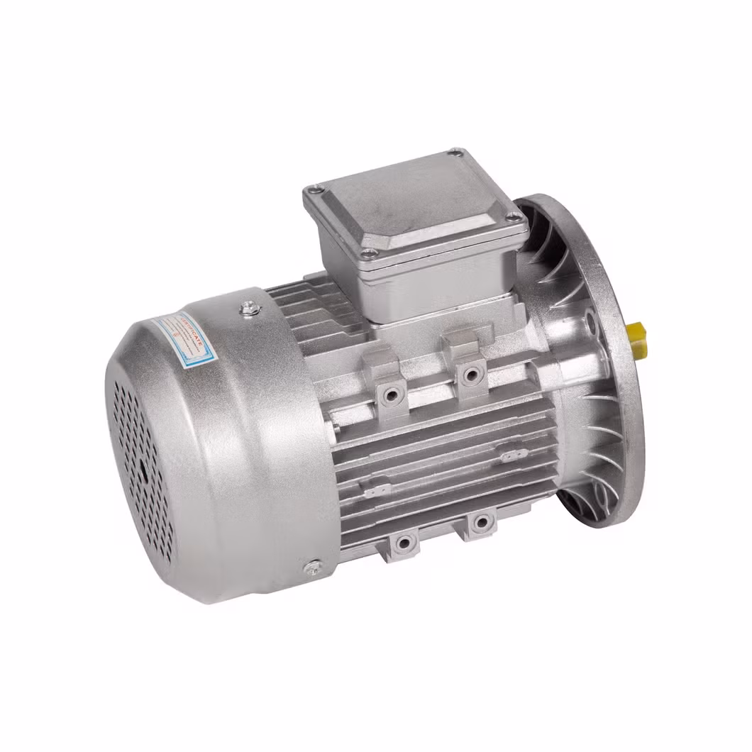 Động cơ điện không đồng bộ ba pha AC loại lồng sóc cho ứng dụng bơm nước và máy nén khí 0.75kw hình ảnh 15-description