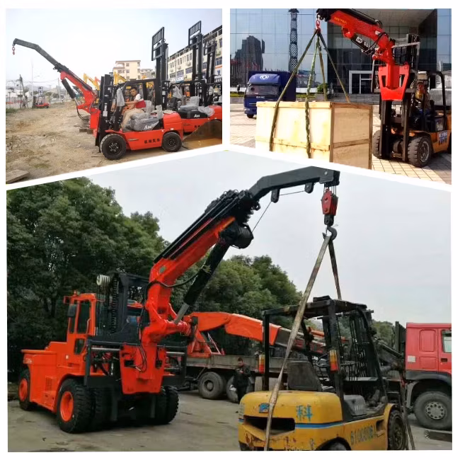 Nhà máy Bob-Lift Cc80zb2+1: Cẩu nâng jib tùy chỉnh dung lượng 2500 Kg hình ảnh 15-description