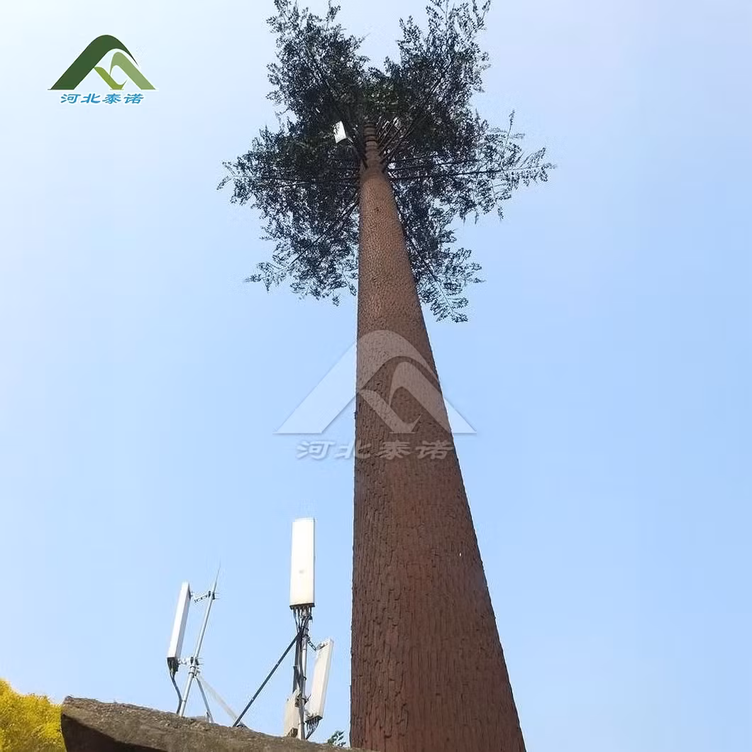Tháp thép viễn thông Tainuo Trung Quốc: Sản phẩm tháp cây ngụy trang hình trụ từ nhà phân phối hình ảnh 15-description