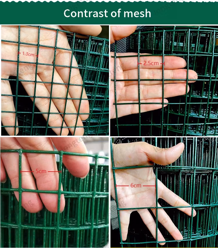 Lưới kim loại hàn phủ nhựa PVC: Giải pháp an toàn cho chuồng chim gia đình hình ảnh 16-description