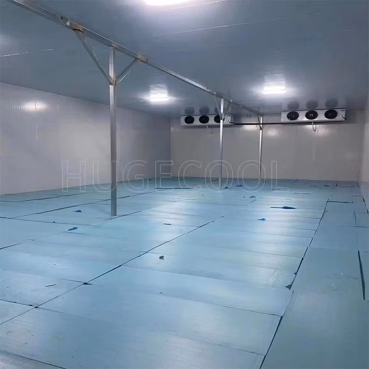 Tủ đông phòng lạnh chất lượng cao với hệ thống bảo quản lạnh cho giá trị lưu trữ tối ưu hình ảnh 16-description