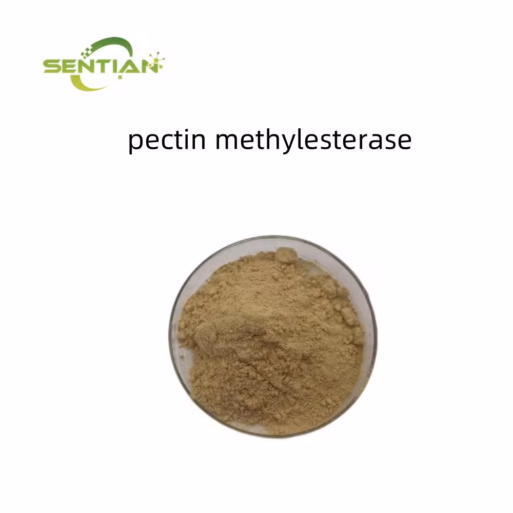 Enzyme Pectin Methylesterase Pme - Giải pháp cho sản phẩm thực phẩm chất lượng cao hình ảnh 16-description