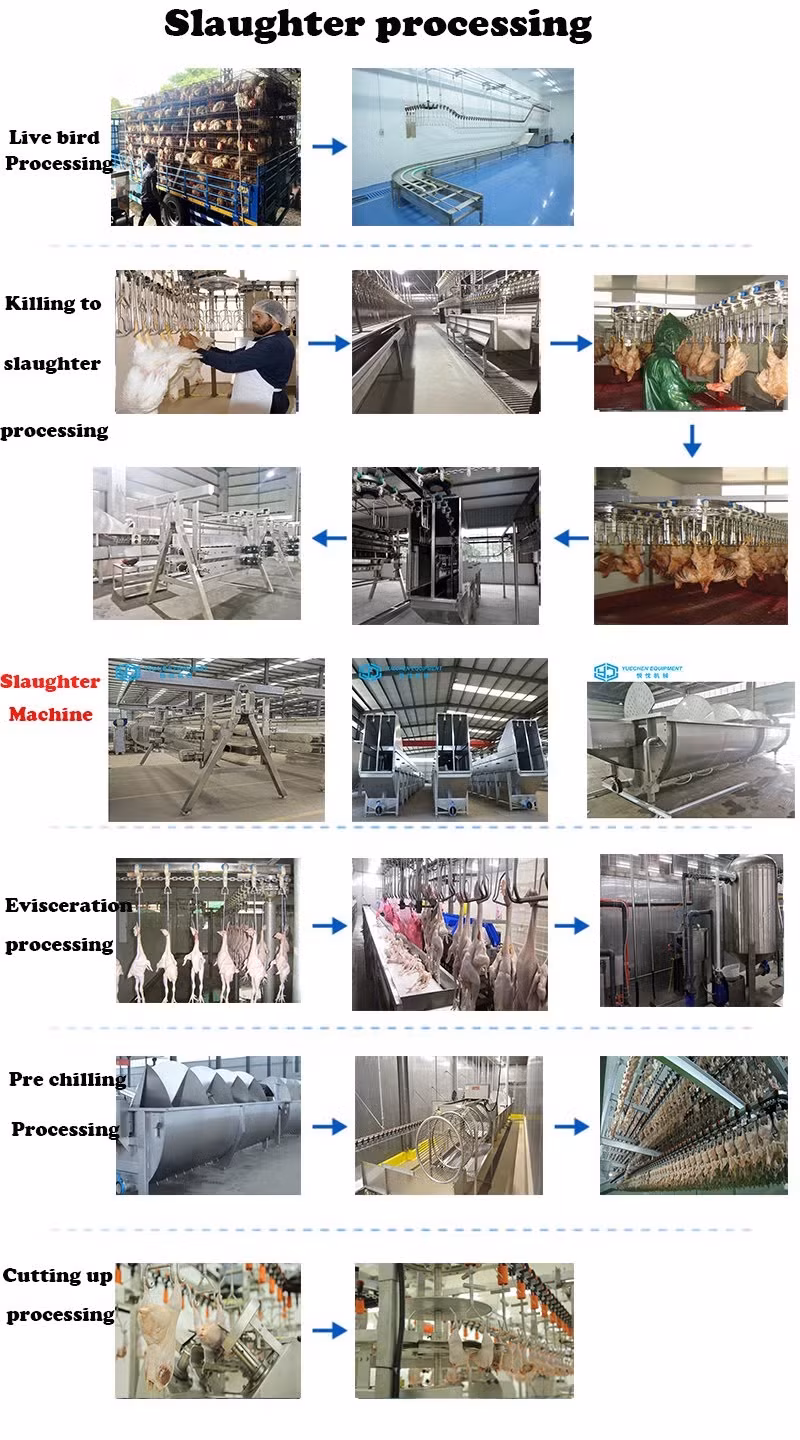 Máy giết mổ và thiết bị làm sạch lông cho cửa hàng gà nhỏ - Chọn lựa thông minh hình ảnh 16-description