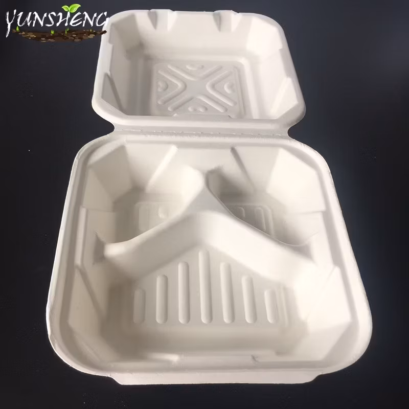 Hộp đựng cơm sinh học một lần từ tre hoặc bã mía, là lựa chọn hoàn hảo cho bữa tối và đồ ăn mang đi hình ảnh 16-description