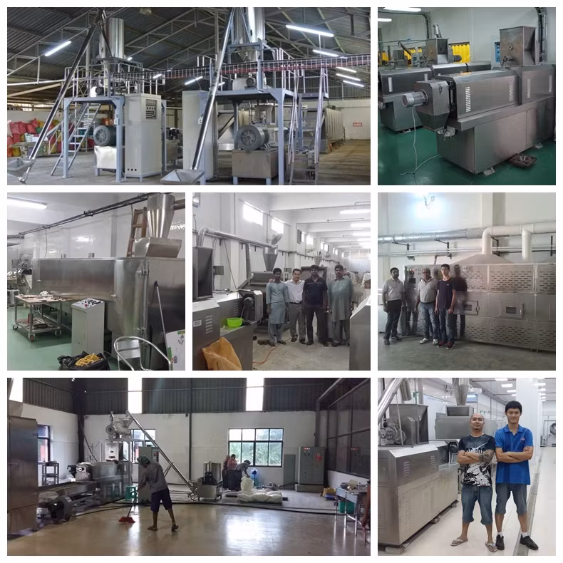 Dụng cụ chế biến thức ăn cho thú cưng - Lựa chọn tốt nhất cho việc nuôi dưỡng thú cưng của bạn hình ảnh 16-description