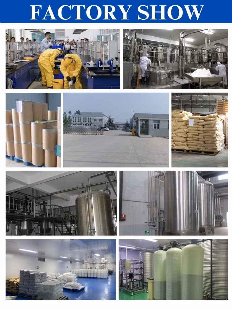 Chất Lượng Cao: Acid Malic Đóng Gói Chuyên Dùng Cho Đồ Uống và Kẹo Dẻo với Hương Vị Ngon hình ảnh 16-description