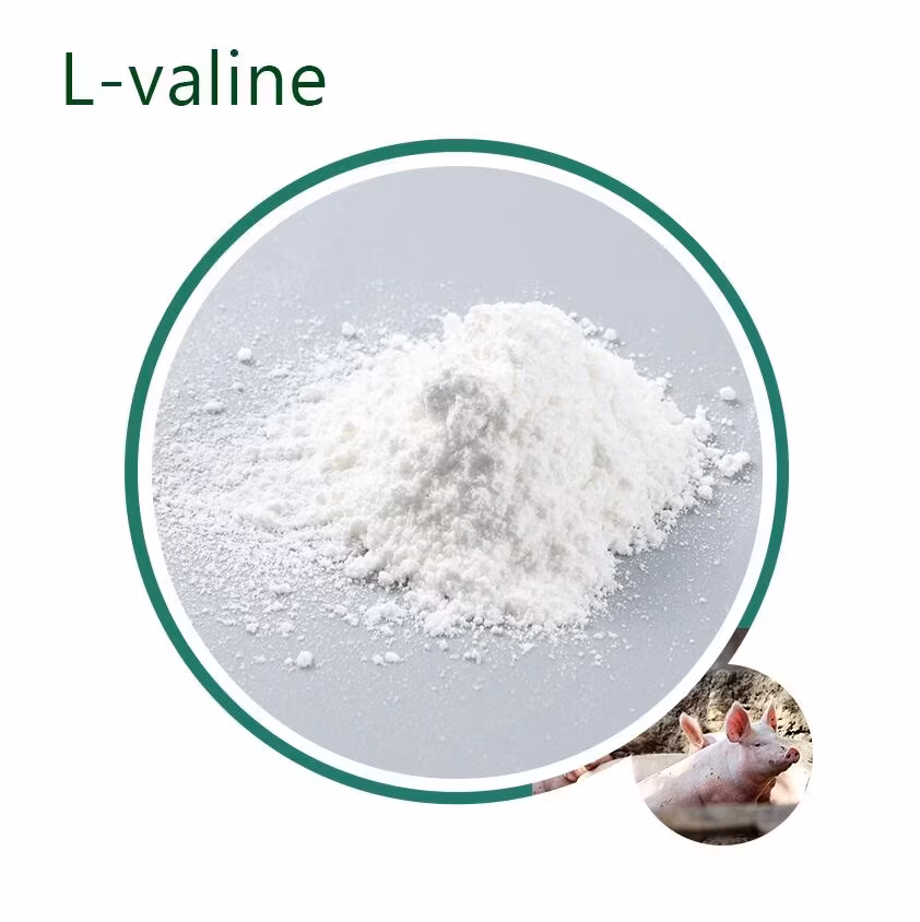 Bột Polifar chứa vitamin A chất lượng cao cho sức khỏe tốt hình ảnh 17-description