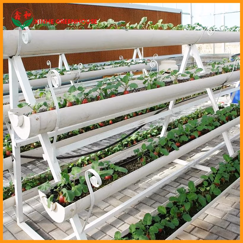 Giải pháp kính nông nghiệp toàn diện cho việc trồng trái cây hình ảnh 17-description