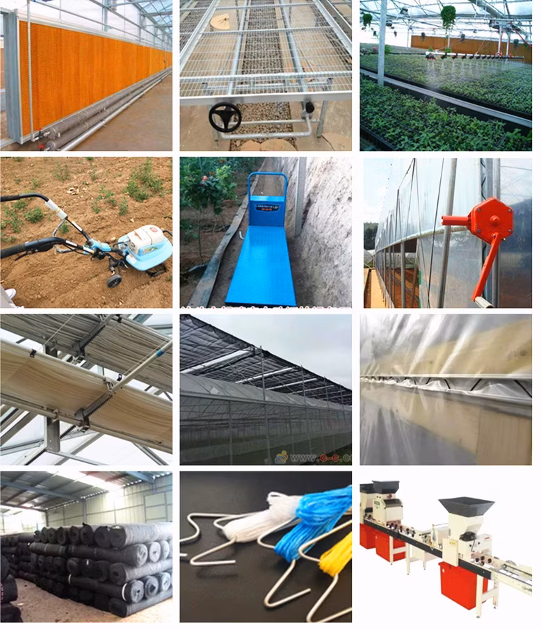 Nhà kính thương mại Venlo với lớp phủ kính dành cho việc triển lãm và tham quan hình ảnh 17-description
