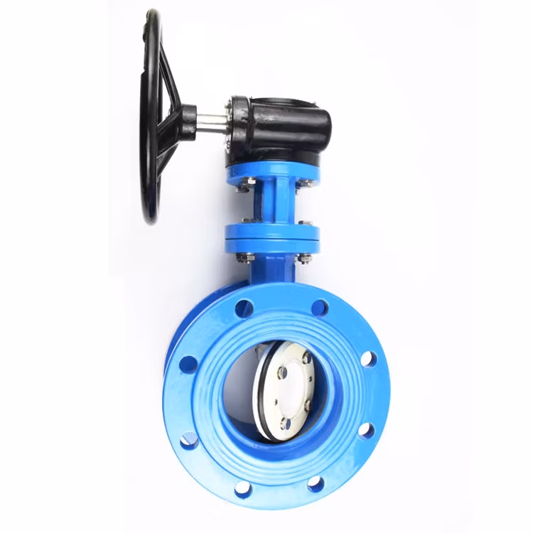 Van Bướm Sắt Dẻo BS5155 En593 Ggg50 Đối Xứng Kép Di - Chất lượng đảm bảo hình ảnh 17-description