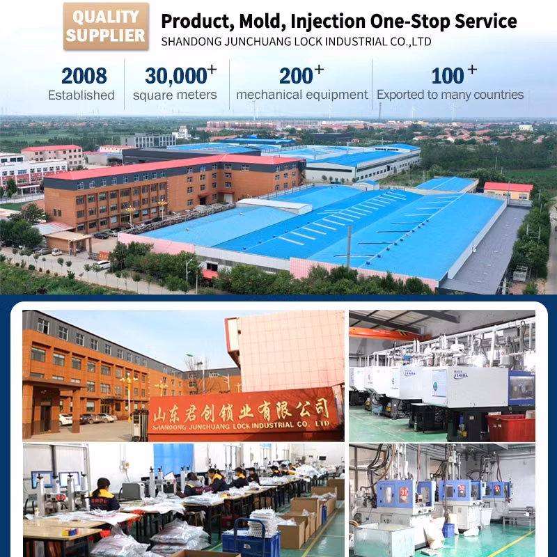 Jcps002: Hàng hóa niêm phong nhựa In laser Logistics - Bán trực tiếp từ nhà máy hình ảnh 17-description