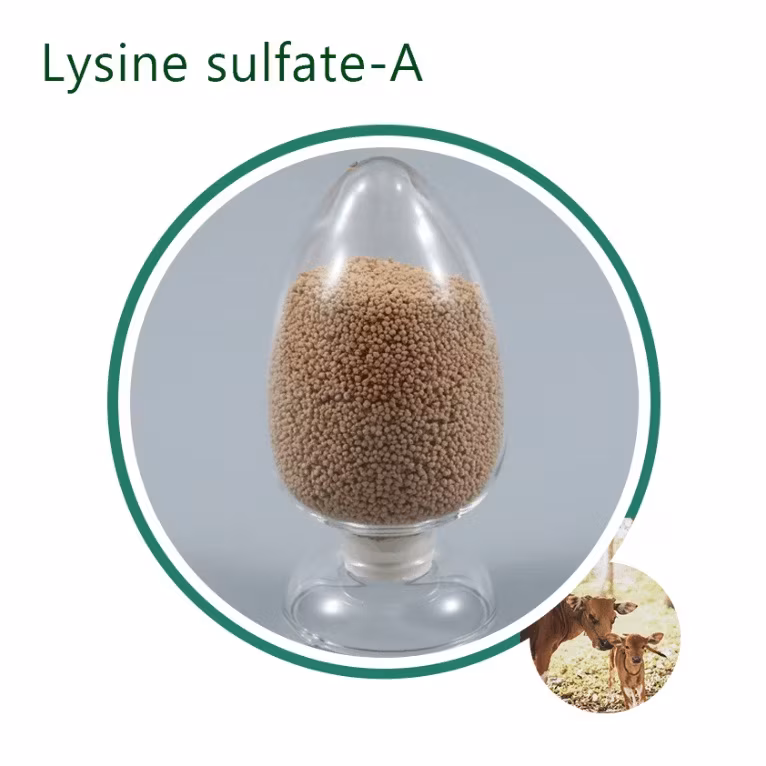 Bột Polifar chứa vitamin A chất lượng cao cho sức khỏe tốt hình ảnh 18-description