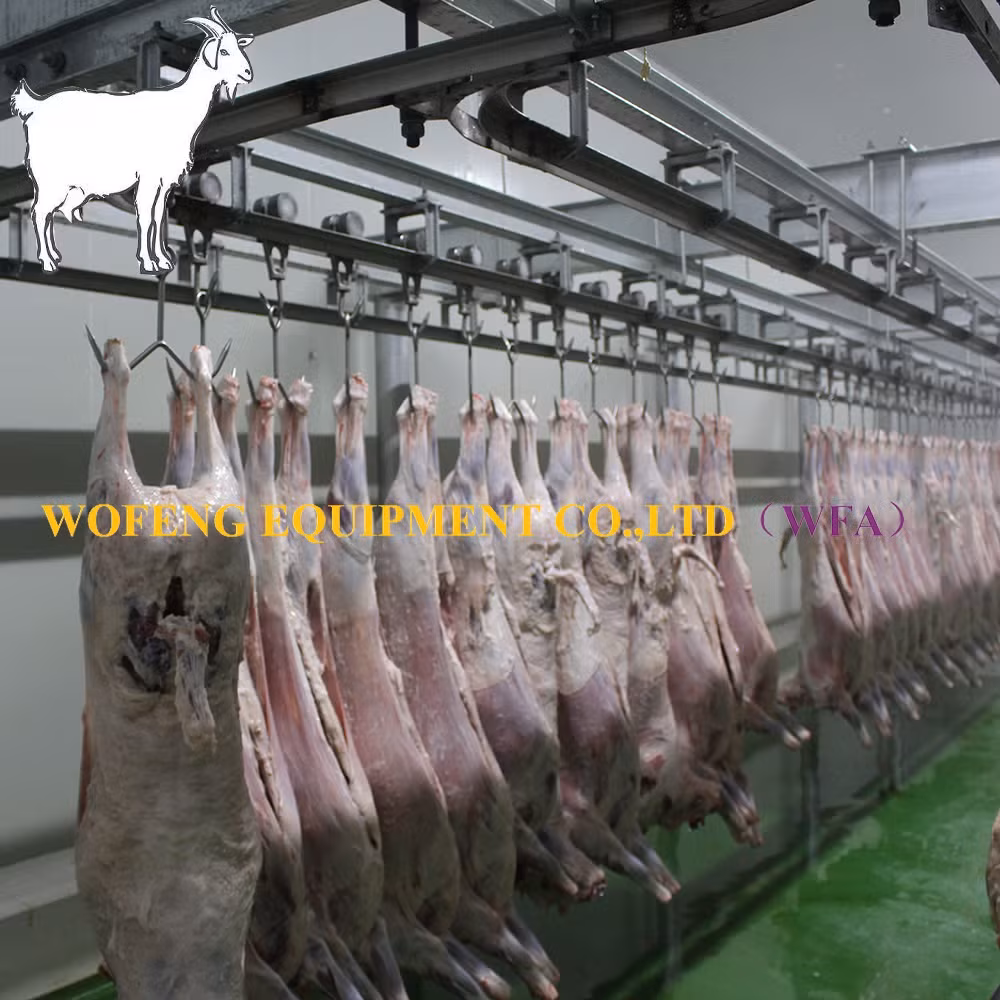 Dây chuyền giết mổ cừu hàng ngày cho lò mổ dê - Dịch vụ chất lượng từ máy móc lò mổ thịt cừu hình ảnh 18-description