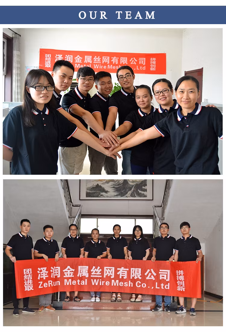Lắp đặt hàng rào màu xanh dương, xanh lá cho vườn và cộng đồng một cách nhanh chóng hình ảnh 19-description