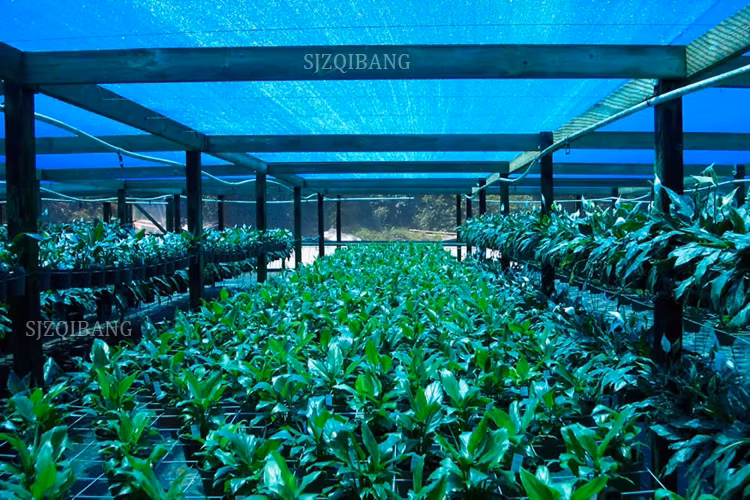Vải che nắng màu xanh: Sản phẩm chất lượng bảo vệ UV cho bãi đỗ xe, nhựa polyethylene, vườn thủy canh và việc trồng cây hình ảnh 19-description