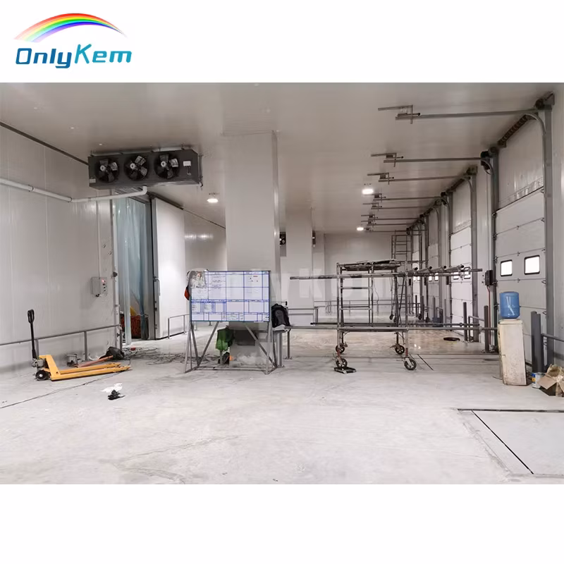 Giải pháp lưu trữ thực phẩm tối ưu cho nhà hàng: Phòng lạnh bếp và Tủ lạnh đi bộ chuyên dụng hình ảnh 19-description