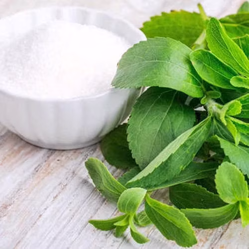 Bột chiết xuất lá Stevia nguyên chất, tinh khiết với hàm lượng Stevioside 98%