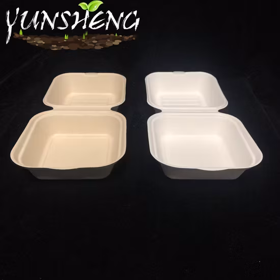 Hộp đựng cơm sinh học một lần từ tre hoặc bã mía, là lựa chọn hoàn hảo cho bữa tối và đồ ăn mang đi