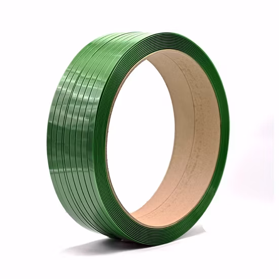 Dây đai nhựa polyester mịn, tùy chỉnh màu sắc phong phú cho thú cưng của bạn hình ảnh 1-description
