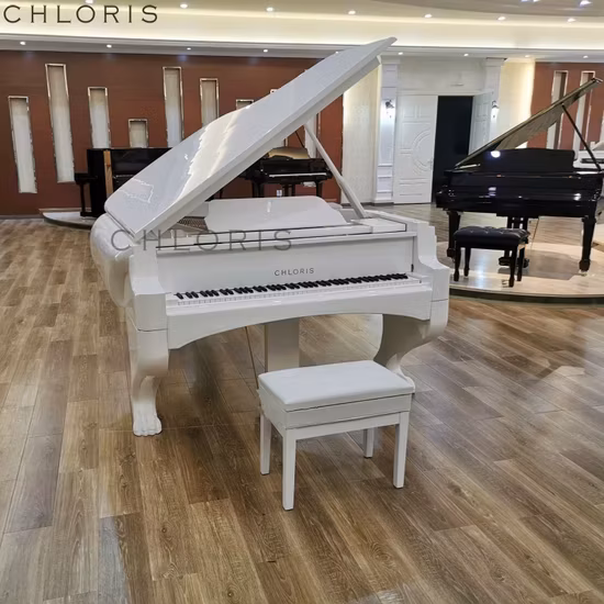 Nhạc cụ Hổ Tuyết Hg186 - Sức mạnh tự nhiên và sự quyến rũ thanh lịch