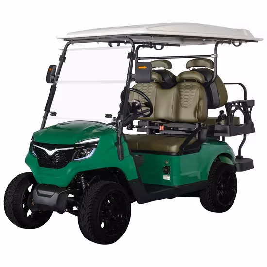 Dịch vụ OEM cho Xe Buggy 4 Chỗ ngồi Sang trọng điện Golf với Pin Lithium hình ảnh 1-description