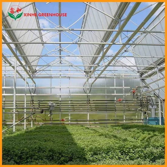Ống mạ kẽm nhúng nóng nhà kính tùy chỉnh cho cà chua: Sản phẩm chất lượng với mức giá ưu đãi