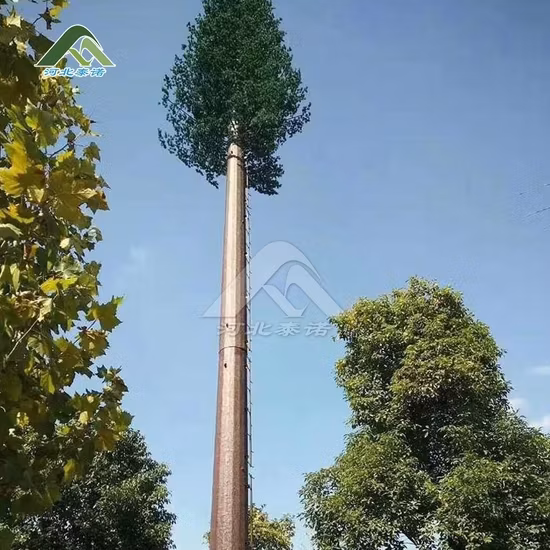 Tháp thép viễn thông Tainuo Trung Quốc: Sản phẩm tháp cây ngụy trang hình trụ từ nhà phân phối hình ảnh 1-description
