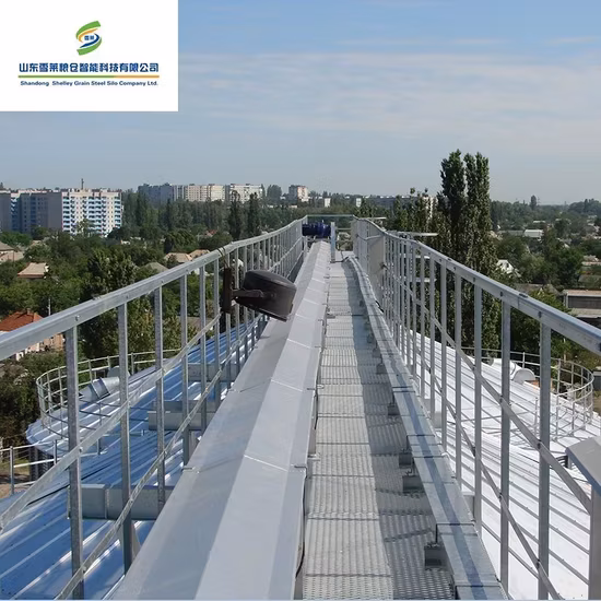 Thiết bị băng tải kéo hạt chất lượng cao cho ngũ cốc, lúa mì, ngô, lúa, gạo