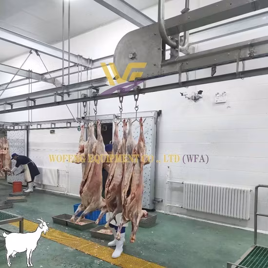 Dây chuyền giết mổ cừu hàng ngày cho lò mổ dê - Dịch vụ chất lượng từ máy móc lò mổ thịt cừu hình ảnh 1-description
