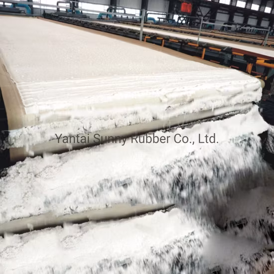 Băng lọc EPDM chất lượng cao dành cho xử lý nước trong nhà máy sản xuất phosphate hình ảnh 1-description