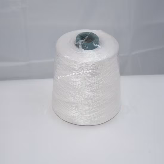 Đáng Tin Cậy: Công Suất Chỉ Tơ Nylon 100 Tấn/Năm 250G Dùng Để May