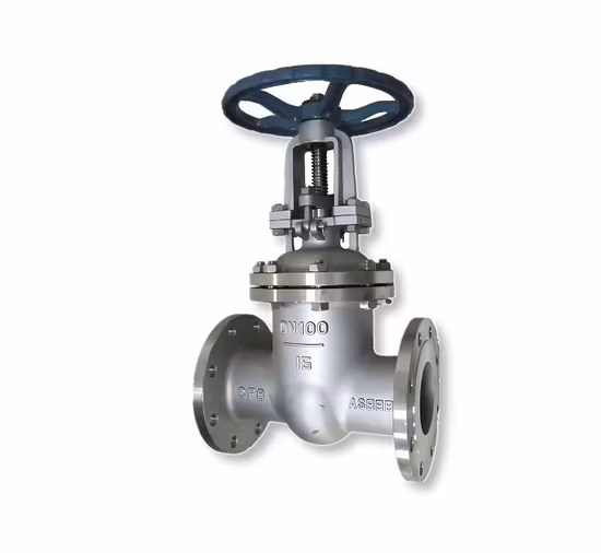 Tiêu đề mới: Van cổng mặt bích bằng thép không gỉ ANSI CF8/304, CF8m/316 kích thước DN50, DN65, DN100, DN125, DN200