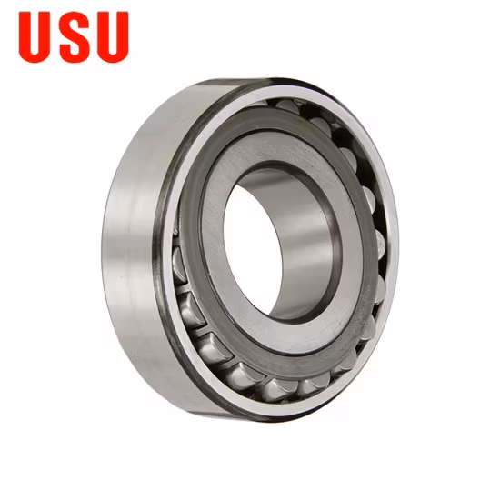 Vòng bi Trung Quốc 21304 Ca, 21305 Cc, 21306 E,... MB 21313 21314 21315 21316 21317 21318 21319cc/W33 - Sản phẩm vòng bi con lăn định hướng