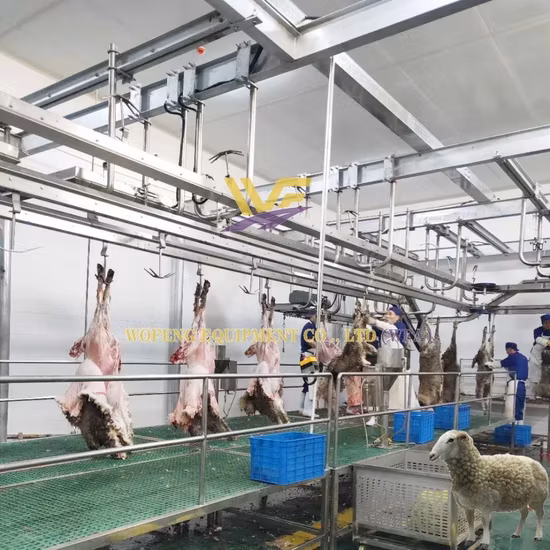Dây chuyền giết mổ cừu hàng ngày cho lò mổ dê - Dịch vụ chất lượng từ máy móc lò mổ thịt cừu