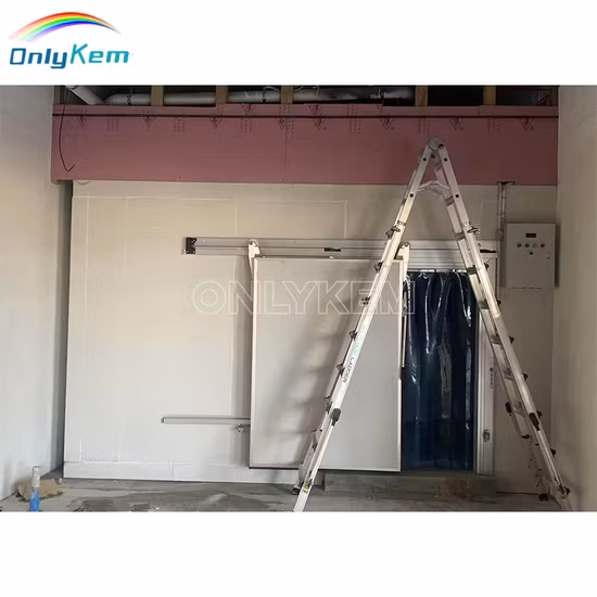 Giải pháp lưu trữ thực phẩm tối ưu cho nhà hàng: Phòng lạnh bếp và Tủ lạnh đi bộ chuyên dụng