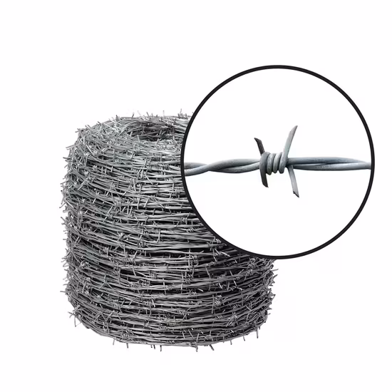Dây kẽm gai mạ điện chất lượng cao dành cho hệ thống hàng rào hình ảnh 1-description