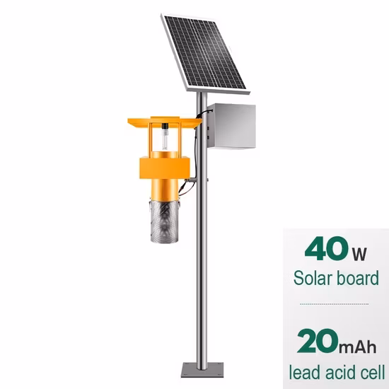 Ẩm thực tự nhiên: Sức hút của ánh sáng mặt trời đối với côn trùng hình ảnh 1-description