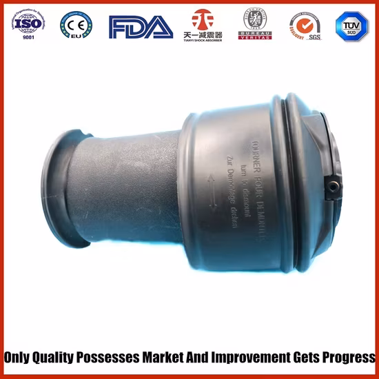 Bộ phuộc khí số 1 cho phần sau xe Citroen C4 hình ảnh 1-description