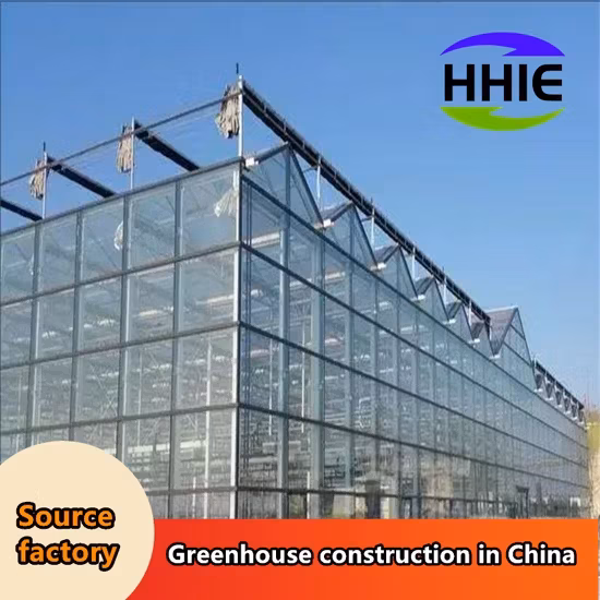 Nhà máy sản xuất nhà kính hiện đại dành cho việc xuất khẩu vào thị trường Đông Nam Á hình ảnh 1-description