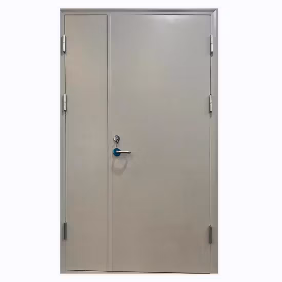 Cửa sắt chống cháy đơn chất lượng cao tùy chỉnh từ nhà sản xuất tại Trung Quốc hình ảnh 1-description