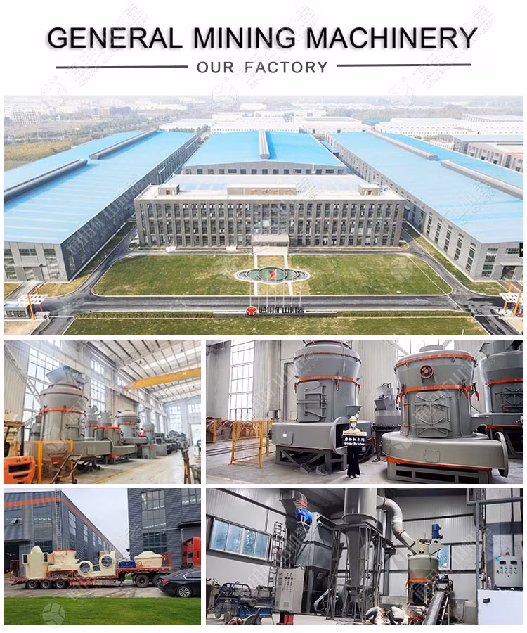 Bột quặng nhôm 8tph: Giải pháp máy nghiền bột hiệu quả với máy nghiền đôi Fly và máy nghiền Raymond cho nguyên liệu diatomite hình ảnh 21-description