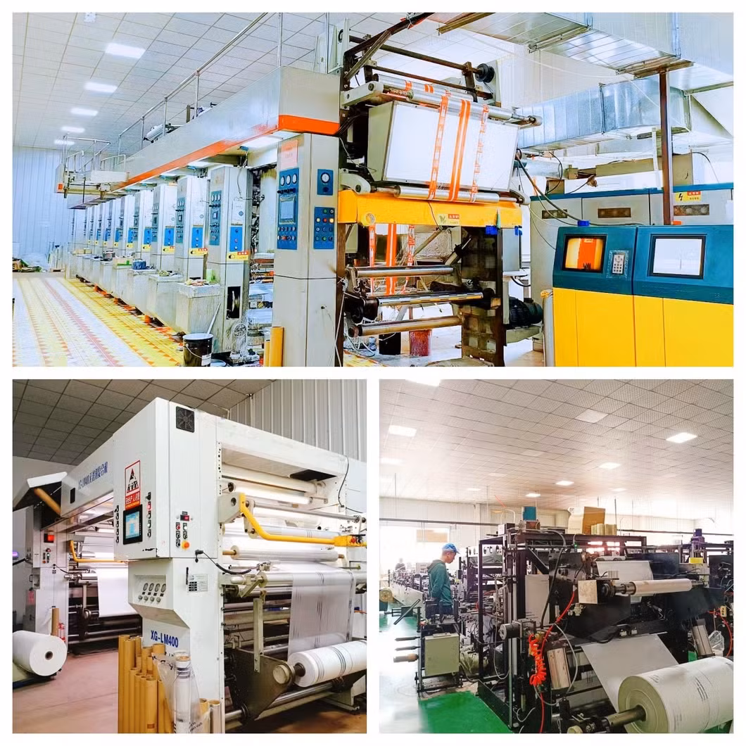 Túi đựng phân chó thân thiện với môi trường từ tinh bột ngô phân hủy sinh học, tiện lợi và thân thiện với người dùng hình ảnh 21-description