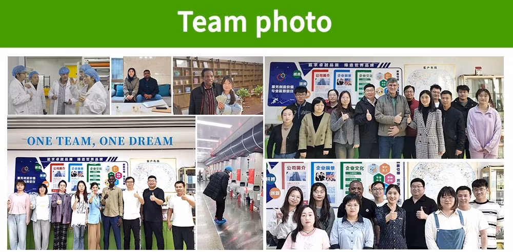 Túi chứa chất lỏng Kraft giấy thân thiện môi trường, có vòi rót, tái sử dụng và phân hủy sinh học hình ảnh 22-description