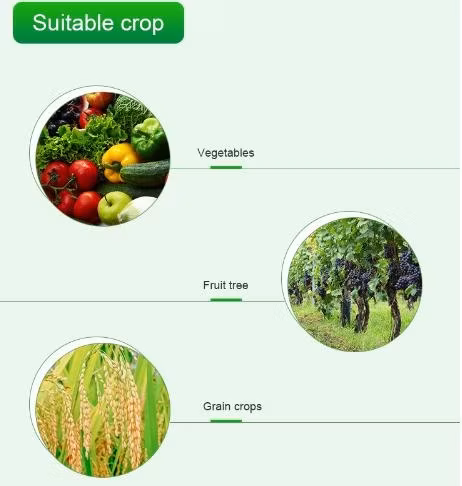 Ruigreaat - Giải pháp hóa chất nông nghiệp hiệu quả cho việc tiêu diệt sâu bệnh hình ảnh 22-description