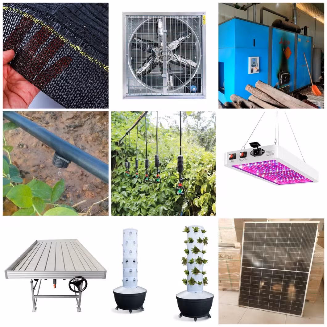 Nền Nhà kính bằng kính chịu lực tạo không gian trống lớn hình ảnh 22-description