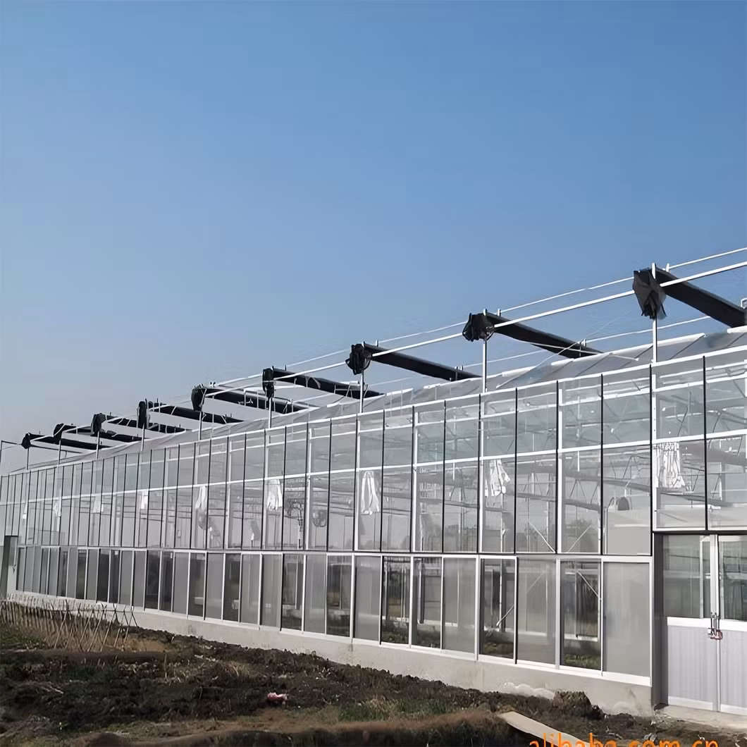 Nhà máy sản xuất nhà kính hiện đại dành cho việc xuất khẩu vào thị trường Đông Nam Á hình ảnh 22-description