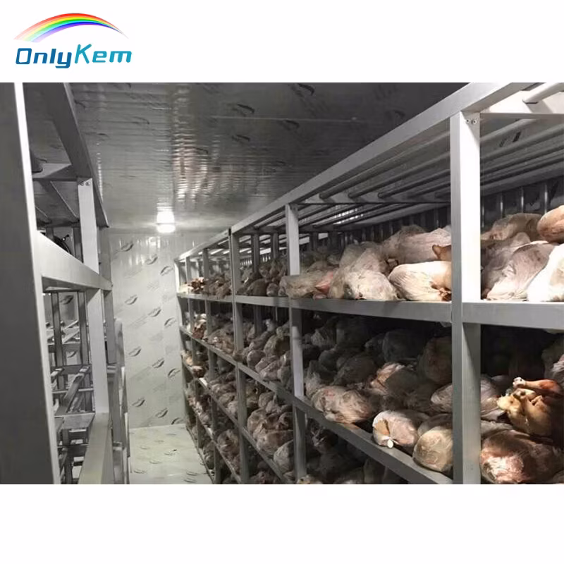 Giải pháp lưu trữ thực phẩm tối ưu cho nhà hàng: Phòng lạnh bếp và Tủ lạnh đi bộ chuyên dụng hình ảnh 22-description