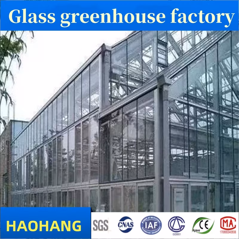 Nhà máy sản xuất nhà kính hiện đại dành cho việc xuất khẩu vào thị trường Đông Nam Á hình ảnh 23-description