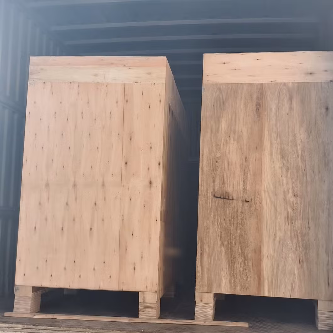 Máy sấy chân không chuyên dụng cho rau củ, ớt, chất lượng đảm bảo hình ảnh 23-description