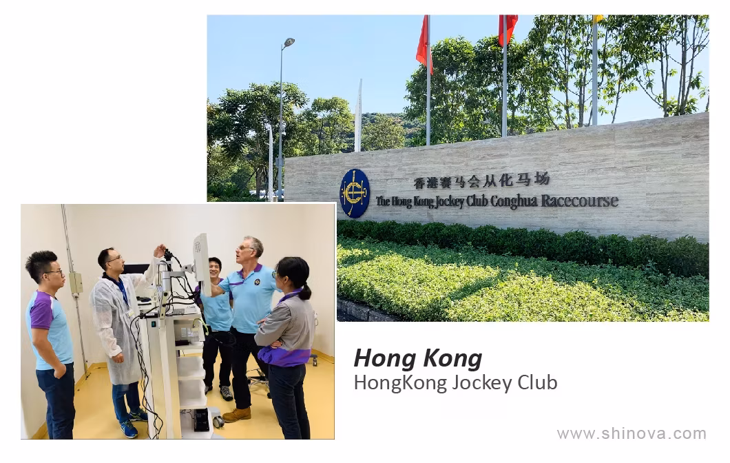 Bồn tắm chó thú y chất liệu thép không gỉ, mua trực tiếp từ nhà sản xuất hình ảnh 23-description
